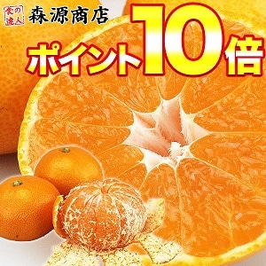 【森源商店】全国選りすぐりの美味しいみかん・柑橘他ポイント10倍！
