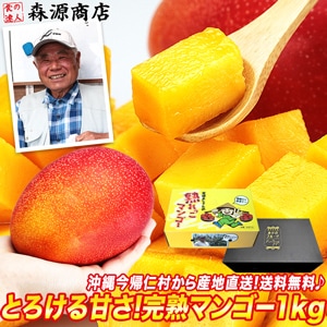 ツウが選ぶ沖縄産マンゴー！甘くとろける口あたり