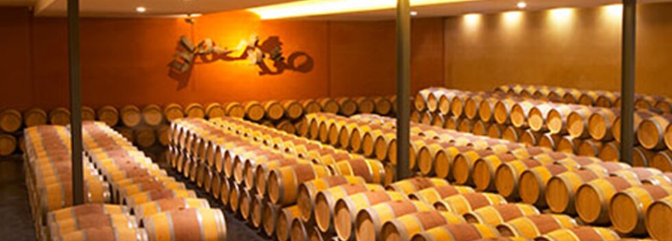 シャトー パルメイ 2015年  フランス 赤ワイン