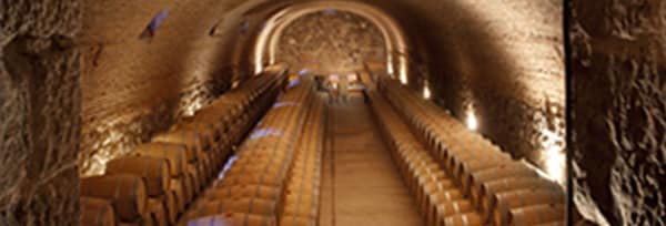 カルム ド リューセック 2016年 ソーテルヌ プルミエ グラン クリュ クラッセ フルボトル(750ml)フランス 白ワイン