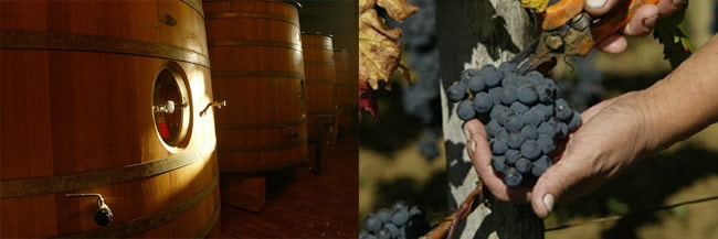 シャトー・パヴィ・マカン 2017年 750ml （フランス ボルドー サンテミリオン第一特別級 赤ワイン）