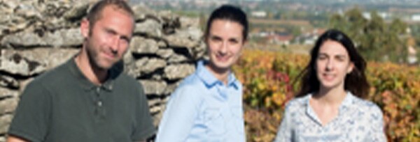 ジュヴレ・シャンベルタン ヴィエイユ・ヴィーニュ 2018年 ドメーヌ・クリュニー 750ml フランス ブルゴーニュ 赤ワイン
