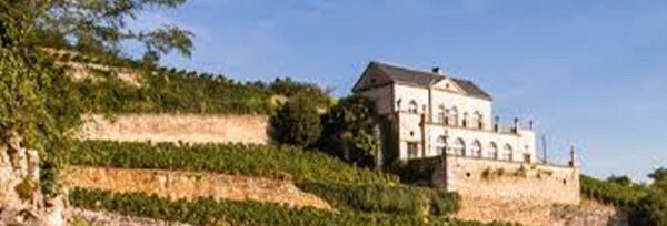 ニュイ サン ジョルジュ レ テラス ブラン 2020年 シャトー グリ アルベール ビショー 750ml 正規 フランス ブルゴーニュ 白ワイン