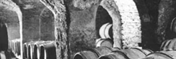 コルトン・シャルルマーニュ グラン・クリュ ディアマン・ジュビリ 2015年 ルモワスネ・ペール・エ・フィス 正規 750ml （フランス ブルゴーニュ 白ワイン）