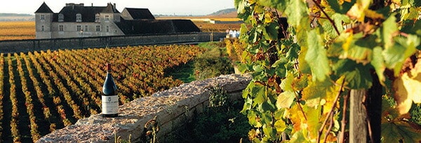 ミュジニー グラン クリュ 特級 ブラン 白 1991年 蔵出し限定品 ドメーヌ コント ジョルジュ ド ヴォギュエ元詰 フランス 白ワイン