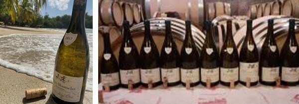 ムルソー レ ナルヴォー 2018年 ドメーヌ フィリップ シャヴィー元詰 750ml ブルゴーニュ 白ワイン