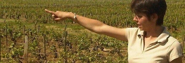 オークセイ・デュレス ブラン 2017年 ドメーヌ・アニョス・パケ 750ml （フランス ブルゴーニュ 白ワイン）