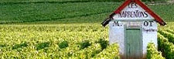 ブルゴーニュ ピノ ノワール 2018年 ドメーヌ モンジャール ミュニュレ 750ml ブルゴーニュ 赤ワイン