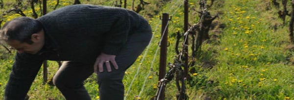 シャンパン アンドレ・ボーフォール ブリュット レゼルヴ （2015年表記なし　デゴルジュ2019年5月） 750ml （フランス シャンパーニュ 白 箱なし）