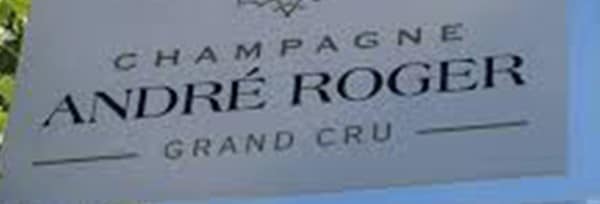 シャンパン アンドレ・ロジェ グラン・クリュ ブリュット ロゼ 750ml （フランス シャンパーニュ ロゼ 箱なし）