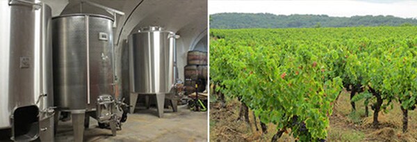 グリフ 2017年 ドメーヌ・デ・ザコル 750ml 正規 （フランス 赤ワイン）