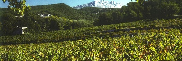 パレット ルージュ 2015年 シャトー シモーヌ元詰  フランス 赤ワイン