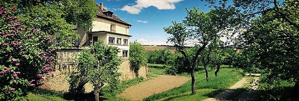 ワイン 白ワイン アルザス リースリング グラン・クリュ フィングスベルク 1995年 シャトー・ドルシュヴィール 750ml フランス アルザス
