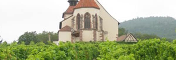 アルザス ピノ・ブラン 2021年 ドメーヌ・ヴィリー・ギッセルブレヒト 750ml （フランス アルザス 白ワイン）