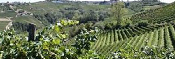 ランゲ・ネッビオーロ 2010年 カーサ・ヴィニコラ・ニコレッロ 750ml （イタリア 赤ワイン）