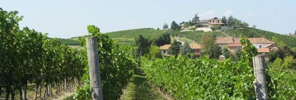 タロ サリーチェ・サレンティーノ 2021年 カンティーネ・サン・マルツァーノ 750ml （イタリア 赤ワイン）