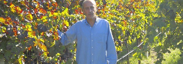 サンジョヴェーゼ テッレ デリ オシ(オスチ)2020年 ディ マーヨ ノランテ  正規品 イタリア モリーゼ州 赤ワイン