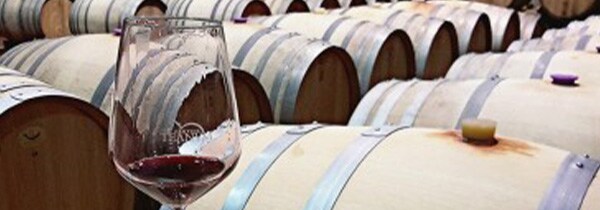 カステッリ ディ セヴェリーノ プーリア ビアンコ 2022年 テアヌム社 イタリア 白ワイン