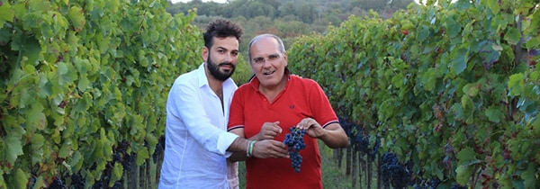 アンゲルス ファレルノ デル マッシコ ロッソ 2015年 ファットリア パガーノ 750ml イタリア 赤ワイン