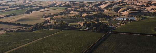 テ カイランガ ＴＫ ランホルダー ピノ ノワール 2017年 750ml ニュージーランド 赤ワイン