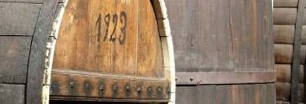サヴォワ ピノ・ノワール キュヴェ・ガストロノミー 2021年 ドメーヌ・ジャン・ペリエ・エ・フィス 750ml （フランス サヴォア 赤ワイン）
