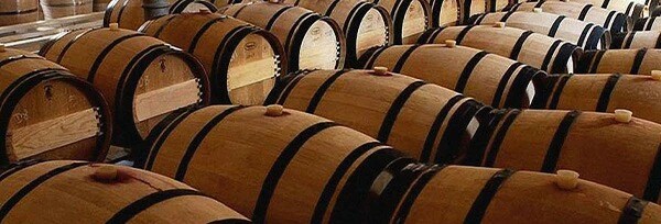 ピングス 2016年 ドミニオ・ピングス 750ml （スペイン 赤ワイン）