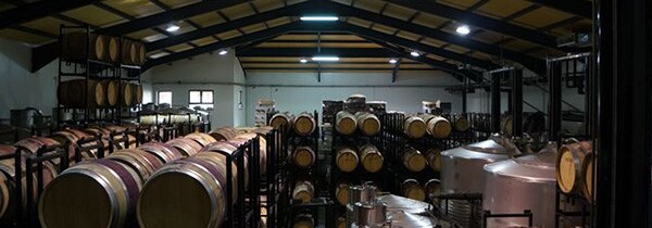 レホン 2015年 蔵出し品 テンプラニーリョ種100％ ヒル ファミリー エステート元詰 スペイン 赤ワイン