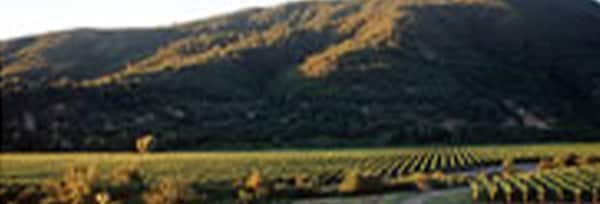サンタ ヘレナ アルパカ プレミアム ピノ ノワール 2021年 750ml チリ 赤ワイン