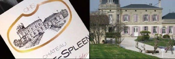 シャトー・シャス・スプリーン 2017年 750ml フランス ボルドー ムーリス 赤ワイン