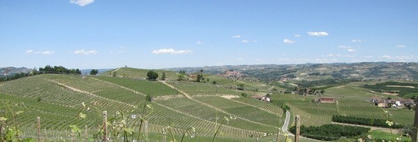 バルバレスコ 2016年 テッレ デル バローロ 750ml イタリア 赤ワイン