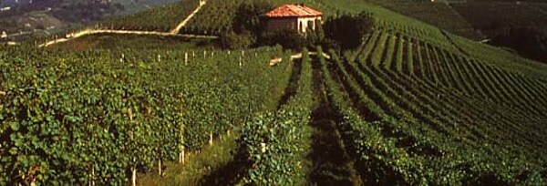 バローロ 2016年 フォンタナフレッダ 750ml×4本 クリスタルワイングラス4脚セット 正規 （イタリア 赤ワイン）
