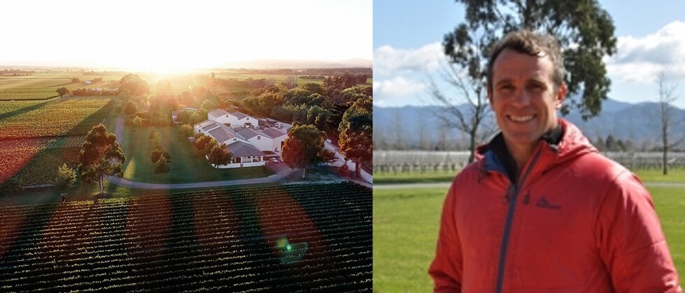 マールボロ ワイルド バリック シャルドネ 2019年 イザベル エステート ヴィンヤード 有機農法 白ワイン ニュージーランド
