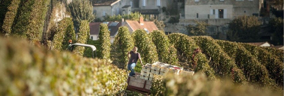 シャトー・ド・フォンベル 2013年 AOCサンテミリオン グラン・クリュ 750ml （フランス ボルドー 赤ワイン） 