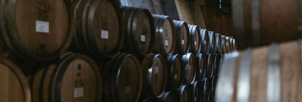 カレラ セントラルコースト ピノ・ノワール 2016年 カレラ・ワイン・カンパニー 正規 750ml （アメリカ カリフォルニア 赤ワイン） 