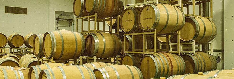 熊本ワインファーム マスカットベーリーA 日本ワイン 赤 辛口 750ml 熊本ファーム 西里醸造所