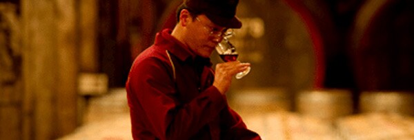 登美の丘ワイナリー ビジュノワール 2017年 サントリー登美の丘ワイナリー特別醸造シリーズ 超限定品 GI Yamanashi取得