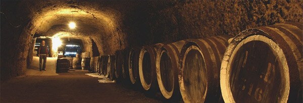 ブルグイユ 1999年 カーヴ・デュアール （ダニエル・ガテ） 750ml （フランス ロワール 赤ワイン）