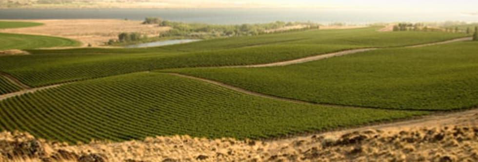 エロイカ リースリング アイスワイン 2016年 パーカー満点5つ星のドクター ローゼン＆ワシントンの代表的生産者のシャトー サン ミッシェルのジョイントワイン