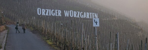 ユルツィガー・ヴュルツガルテン リースリング シュペートレーゼ 2020年 カール・エルベス 750ml （ドイツ 白ワイン）