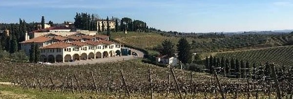  キアンティ フロレジア・ヴィオラ  2022 メリーニ社 750ml （イタリア トスカーナ赤ワイン）