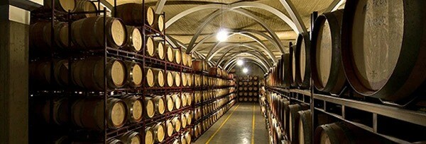 イントルソ モナストレル オーガニック 2022年 ボデガス・フォアン・ヒル 750ml （スペイン 赤ワイン）