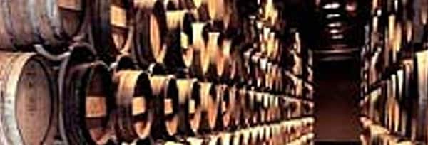 サッシカイア 2016年 テヌータ・サン・グイド 750ml 正規 （イタリア トスカーナ 赤ワイン）