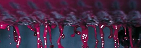 グイダルベルト (サッシカイア) 2017 テヌータ サン グイド IGT トスカーナ 正規 イタリア トスカーナ 赤ワイン 辛口 フルボディ 750ml