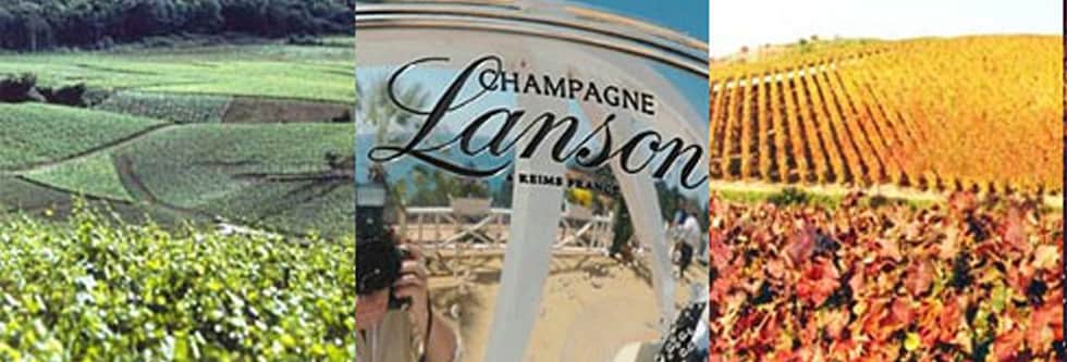 シャンパン ランソン アイボリーラベル ドゥミセック 正規 750ml （フランス シャンパーニュ 白 箱なし）