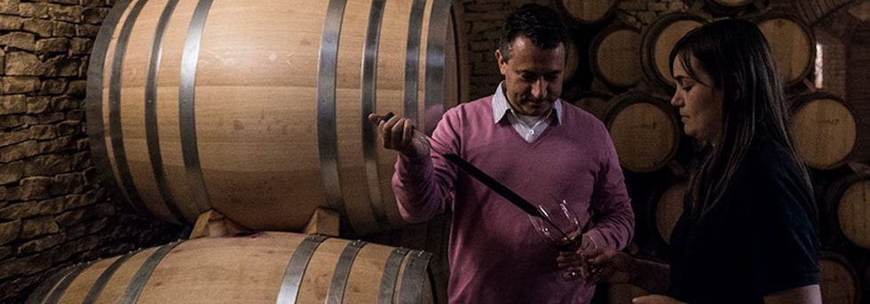 ヌエストラ セニョーラ ポルタル ティント 2019年 セリェール ピニョル 赤ワイン スペイン