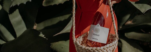 コンティ・ゼッカ ドンナ・マルツィア・ネグラマーロ 2022年 イタリア 赤ワイン