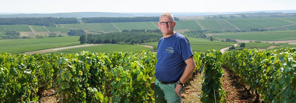 シャブリ 2022年 ドメーヌ ヴォコレ エ フィス 750ml フランス 白ワイン