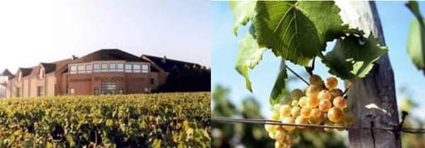 シャブリ グラン クリュ 特級 ブーグロ 2018年 ドメーヌ ジャン マルク ブロカール家元詰 フランス 白ワイン