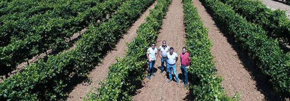 ラ グラナディーリャ ヴェルデホ 2021年 ボデガス ラ ラ グラナディーリャ 750ml スペイン 白ワイン