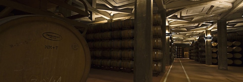 アマリア ガルナッチャ 2016年 ボデガス・アラゴネサス 750ml （スペイン 赤ワイン）